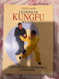 Lezioni di Kung fu Wushu