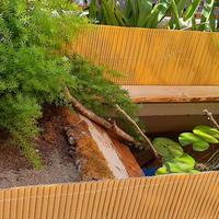 Pond stagno da terrazzo