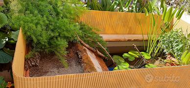 Pond stagno da terrazzo