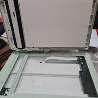 Stampante hp