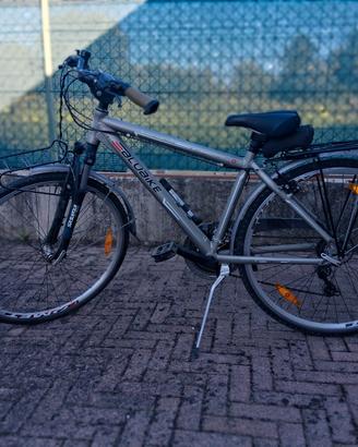 Bici da cicloturismo