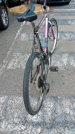 mountain bike olympia camoscio 