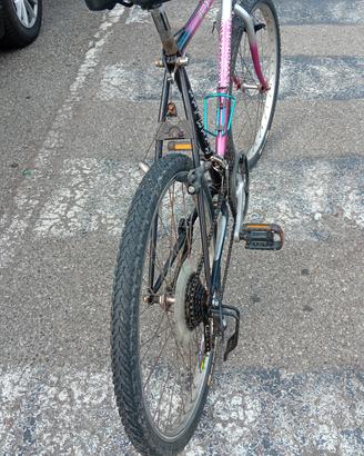 mountain bike olympia camoscio 