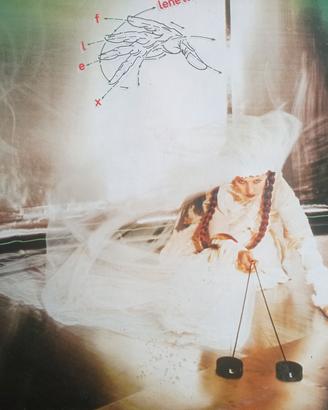 Lene Lovich. Flex. Lp in vinile