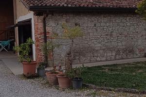 Rustico