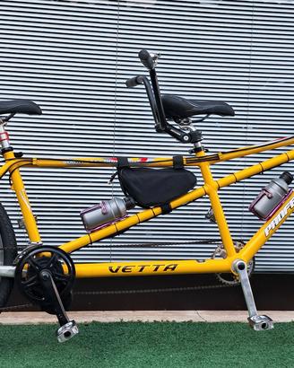 TANDEM ELETTRICO MARCA VETTA, BATTERIA 720Wh