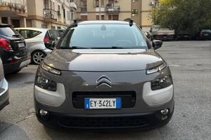 C4 Cactus
