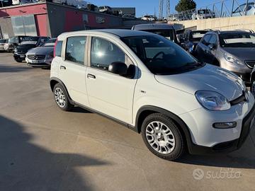 Fiat Panda 1.0 FireFly S&S Hybrid Pandina