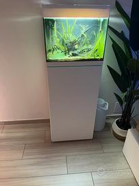 Acquario Oase StyleLine 85, Bianco