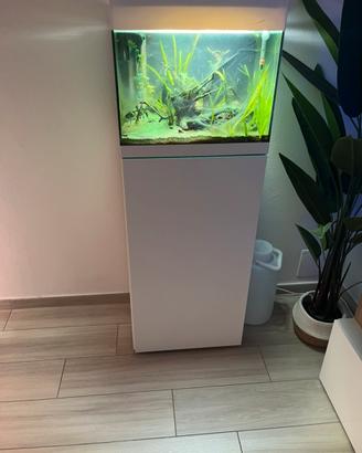 Acquario Oase StyleLine 85, Bianco