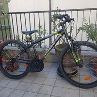 BICI MTB