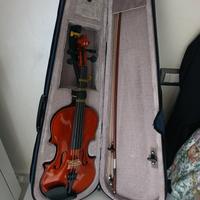 Violino