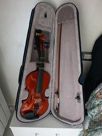 Violino