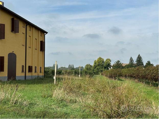 Vigneto - Mandrio di Correggio