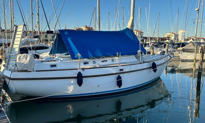 Barca a vela alpa 38