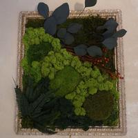 Quadro muschio stabilizzato