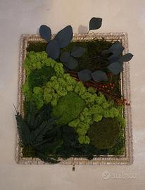 Quadro muschio stabilizzato