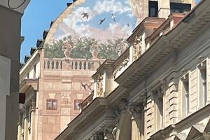 Terreno edificabile