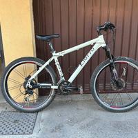 Bicicletta mountain bike