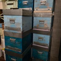 Arnie casette per Api