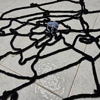 ragnatela morbida Halloween 