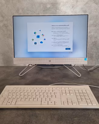 pc hp all in one model 24-dp1010nl