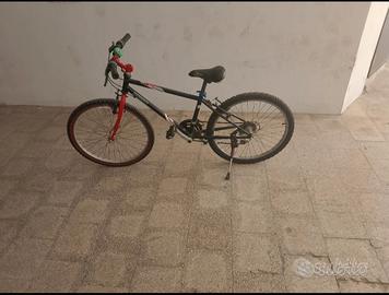 Mountain  bike instancabile 