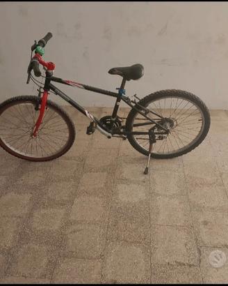 Mountain  bike instancabile 