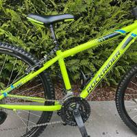 Bici bambino 8/10 anni