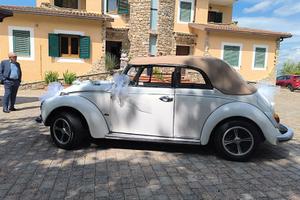 maggiolino cabrio karmann