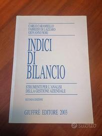 Libro Indici di Bilancio Seconda Edizione