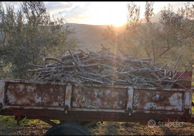 Legna da ardere di ulivo per aziende-legnaie