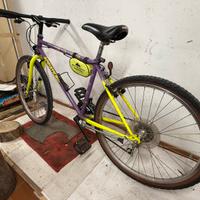 mountain bike usata