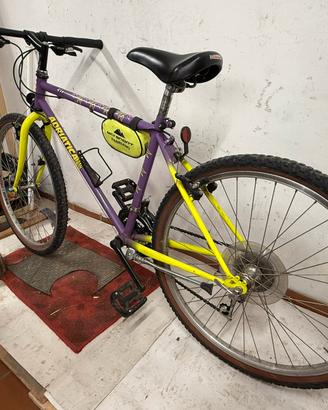 mountain bike usata