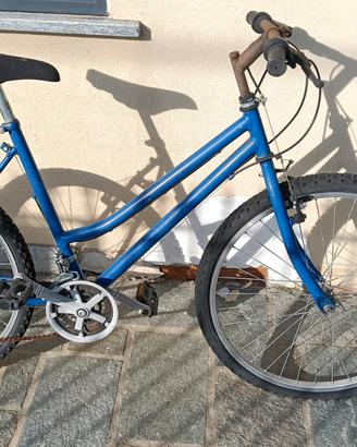 Bici 26