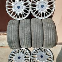 gomme estive 