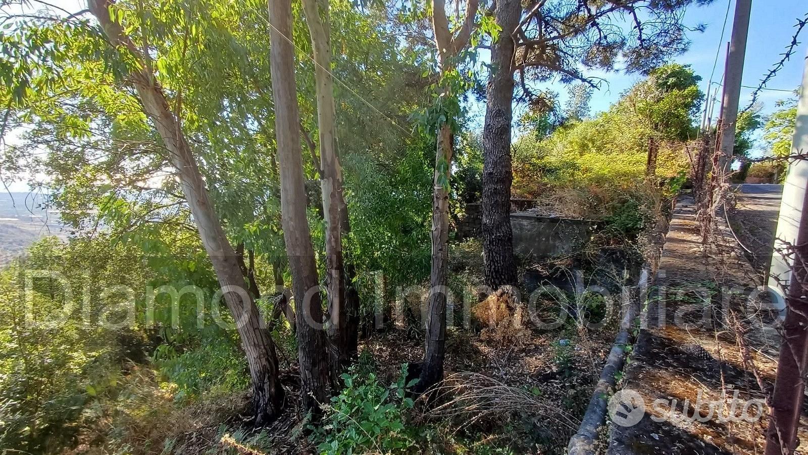 Terreno agricolo 5.500mq e rudere Piedimonte Etneo - Vista 4