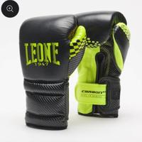 guantoni e caschetto box