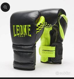 guantoni e caschetto box