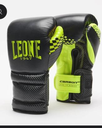 guantoni e caschetto box