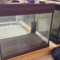 Acquario