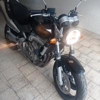 Honda Hornet 