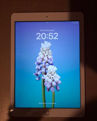 IPAD - quinta generazione - LTE 