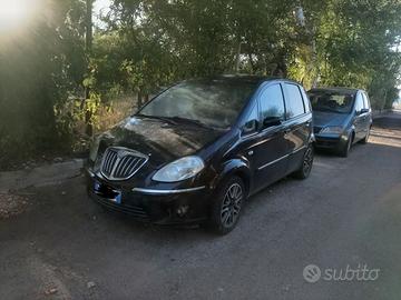 Lancia musa