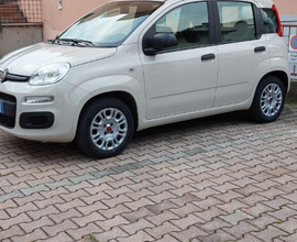 Panda Fiat 1.2