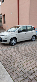 Panda Fiat 1.2