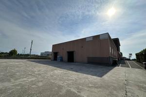 Rif.2460UF51364| locale commerciale rottofreno