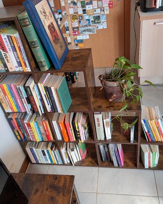 Libreria Vasagle Custos marrone 