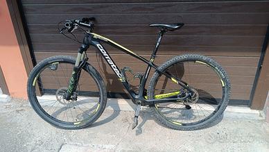 Coratec Revolution 29