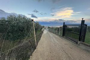 TER. AGRICOLO A TREBISACCE